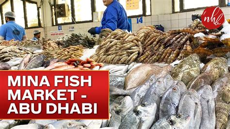 Fishing and tackle shops in Abu Dhabi, Emirate of Abu Dhabi .